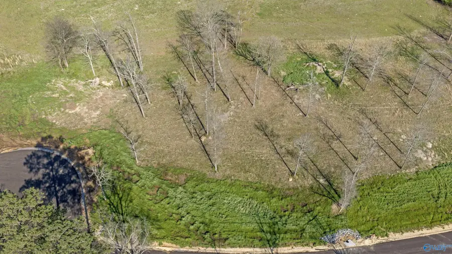 Lot 25 Garrett Street, Rainsville, AL 35986 - #2