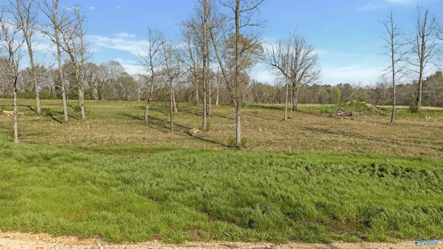 Lot 25 Garrett Street, Rainsville, AL 35986 - #3