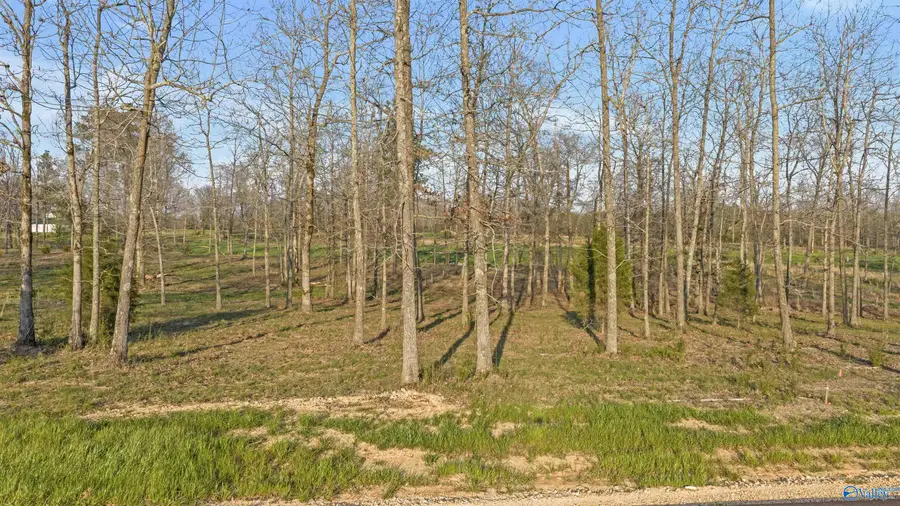 Lot 28 Garrett Street, Rainsville, AL 35986 - #3