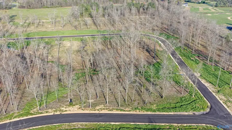 Lot 29 Garrett Street, Rainsville, AL 35986 - #2