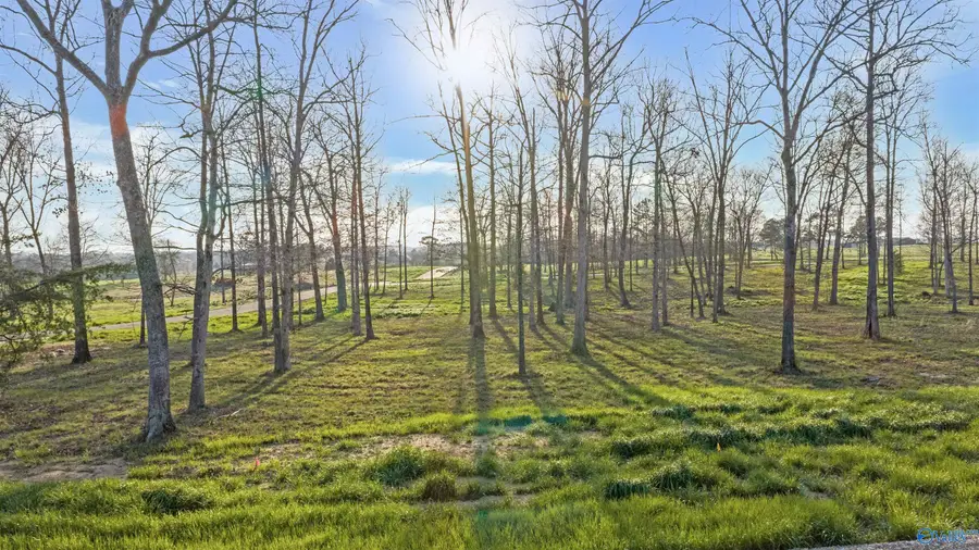 Lot 30 Garrett Street, Rainsville, AL 35986 - #3