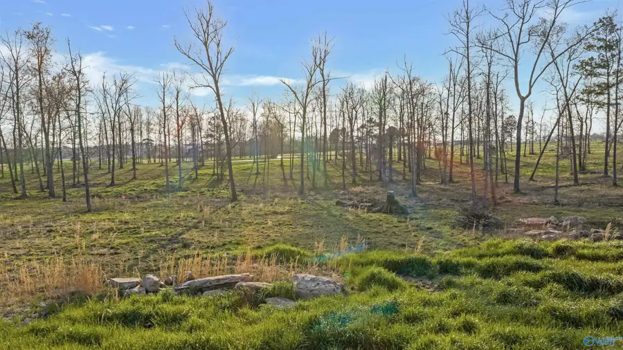 Lot 31 Garrett Street, Rainsville, AL 35986 - #3