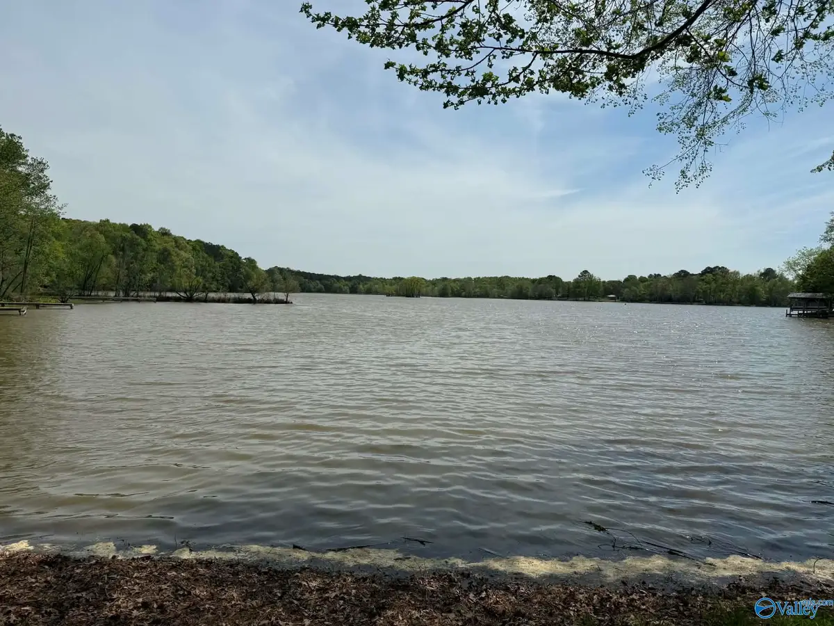 Lot 10 County Road 609, Centre, AL 35960 - #1