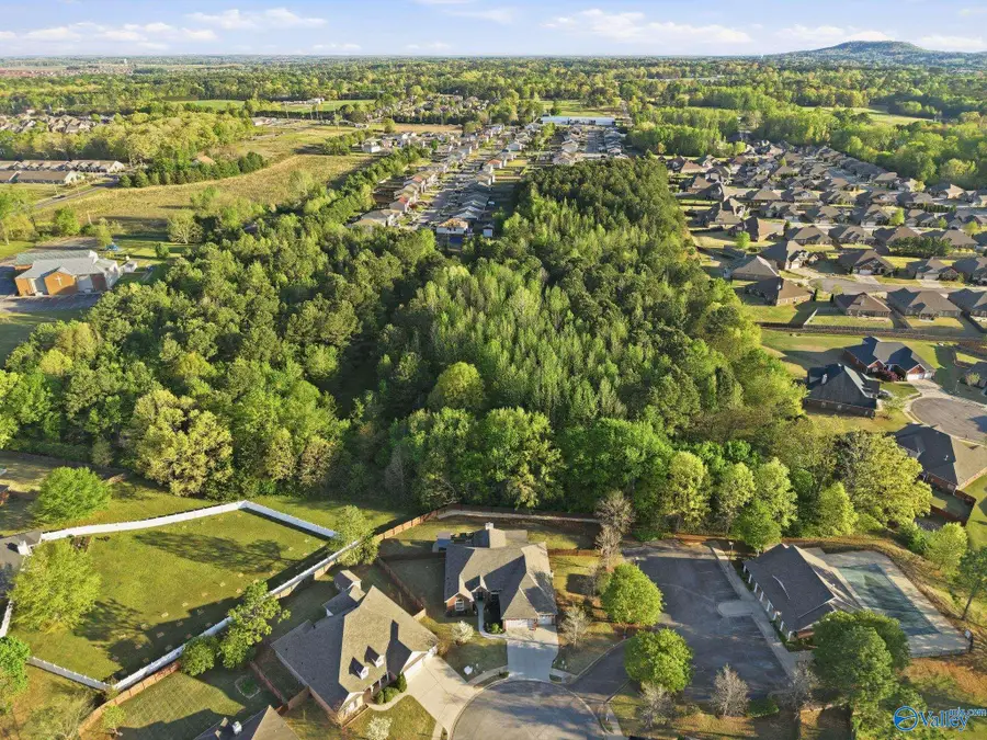 216 North Mossy Creek Circle Nw, Madison, AL 35757 - #2