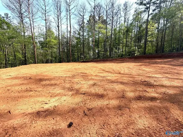 78 Acres Pine Street, Steele, AL 35987