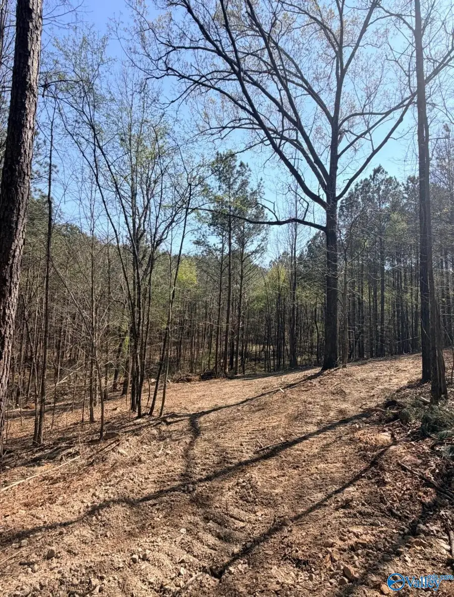 78 Acres Pine Street, Steele, AL 35987 - #2