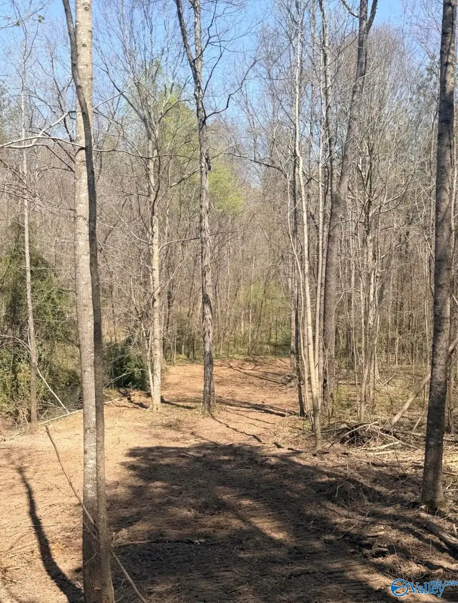 78 Acres Pine Street, Steele, AL 35987 - #3