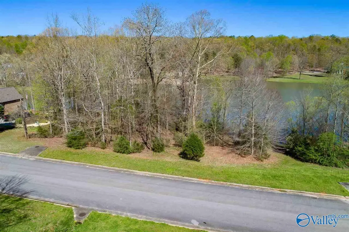 3734 Timberlake Court Sw, Decatur, AL 35603 - #1