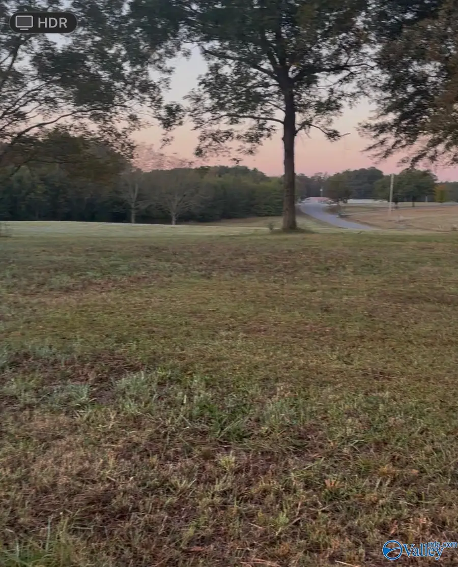 Lot 4 County Road 1755, Holly Pond, AL 35083 - #2