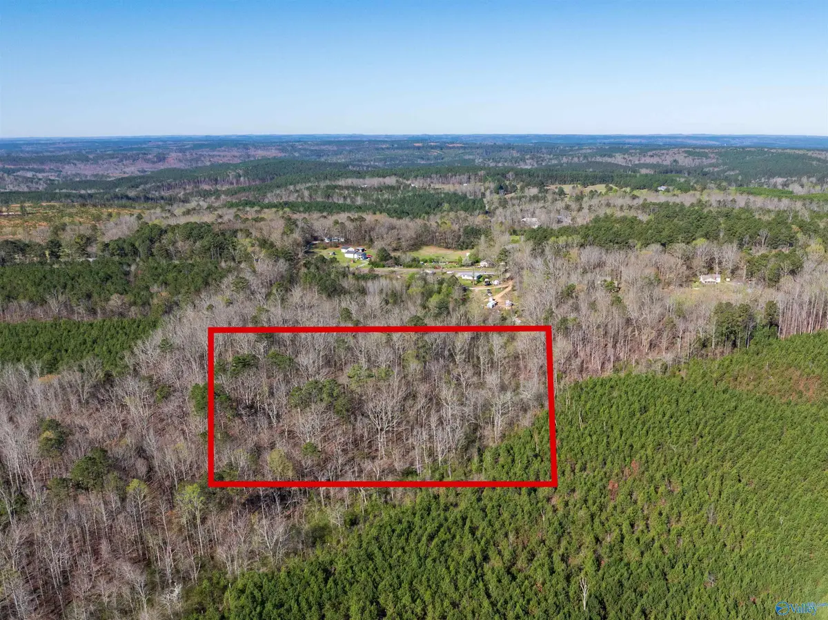 10 ac County Road 10, Montevallo, AL 35115 - #1