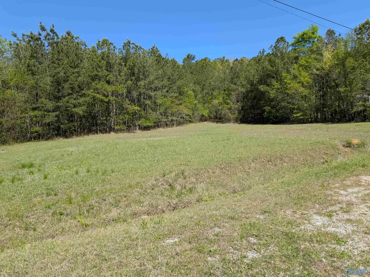 409 Oak Street, Glencoe, AL 35905 - #1
