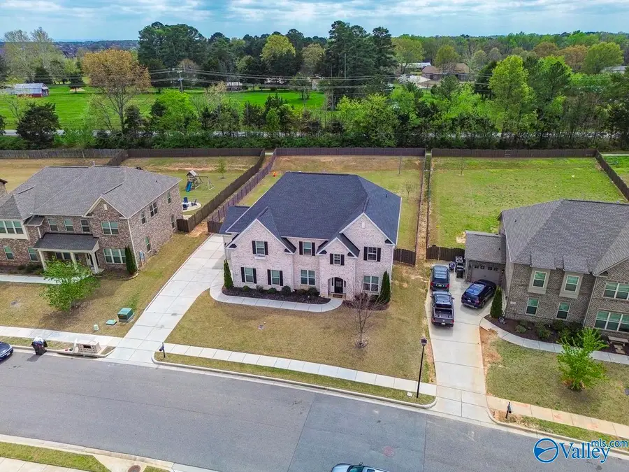 131 Secretariat Place, Madison, AL 35756 - #3