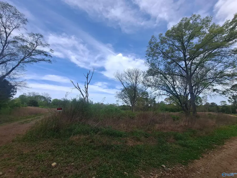 5 ACRES Kuykendall Road, Albertville, AL 35951 - #2