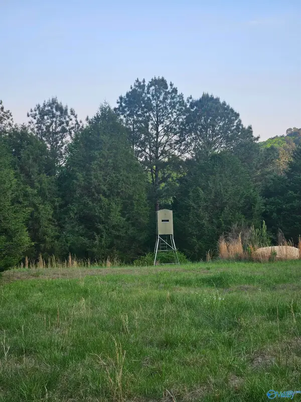 8200 Owls Hollow Road, Gadsden, AL 35901