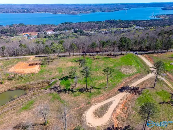 Lot 1 Mccorkle Mountain Road, Scottsboro, AL 35769