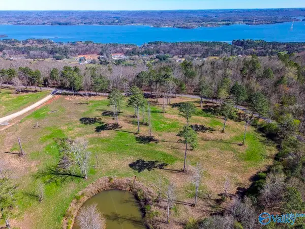 Lot 3 Mccorkle Mountain Road, Scottsboro, AL 35679
