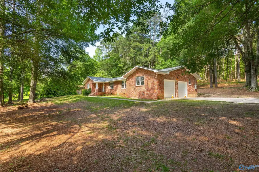2810 Mountain View Drive, Southside, AL 35907 - #2