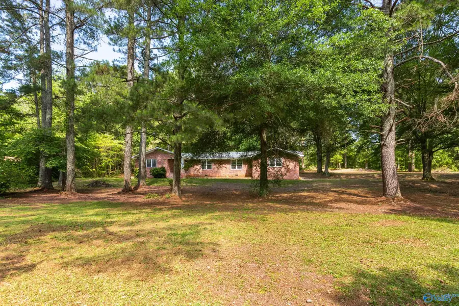 2810 Mountain View Drive, Southside, AL 35907 - #3