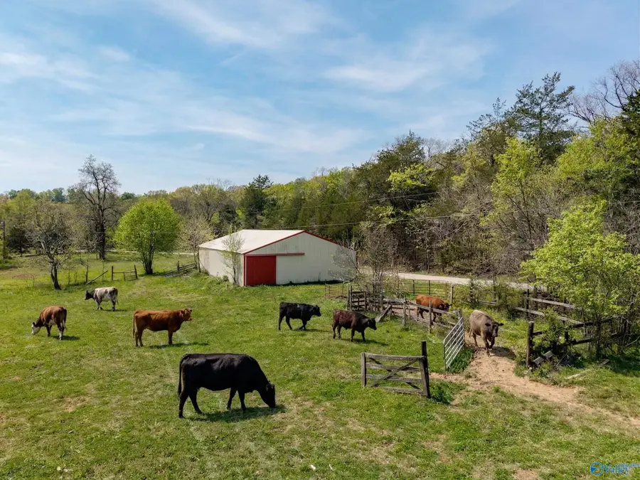 305 Ingram Road, Pulaski, TN 38478 - #3