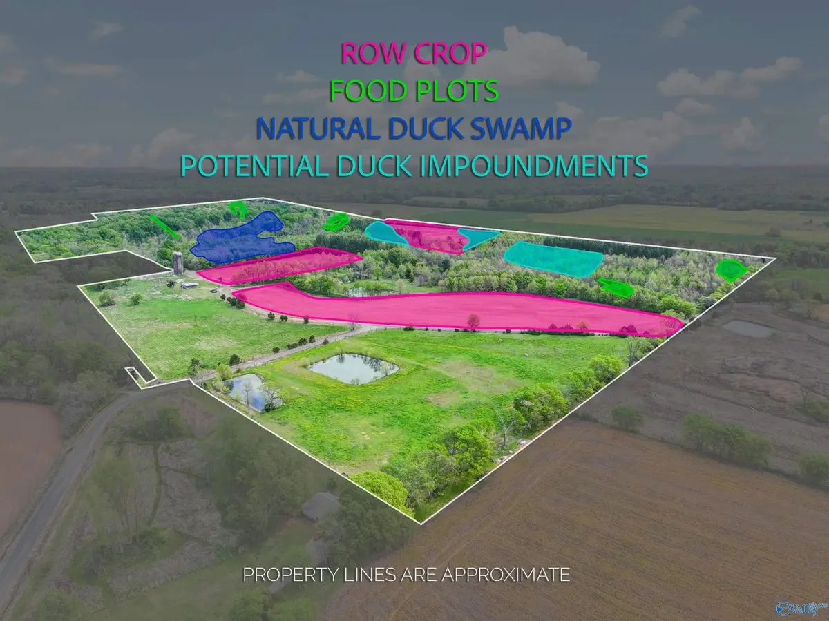 412 Targum Road, Hartselle, AL 35640 - #1