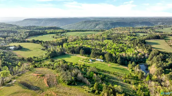 1122 County Road 361, Pisgah, AL 35765