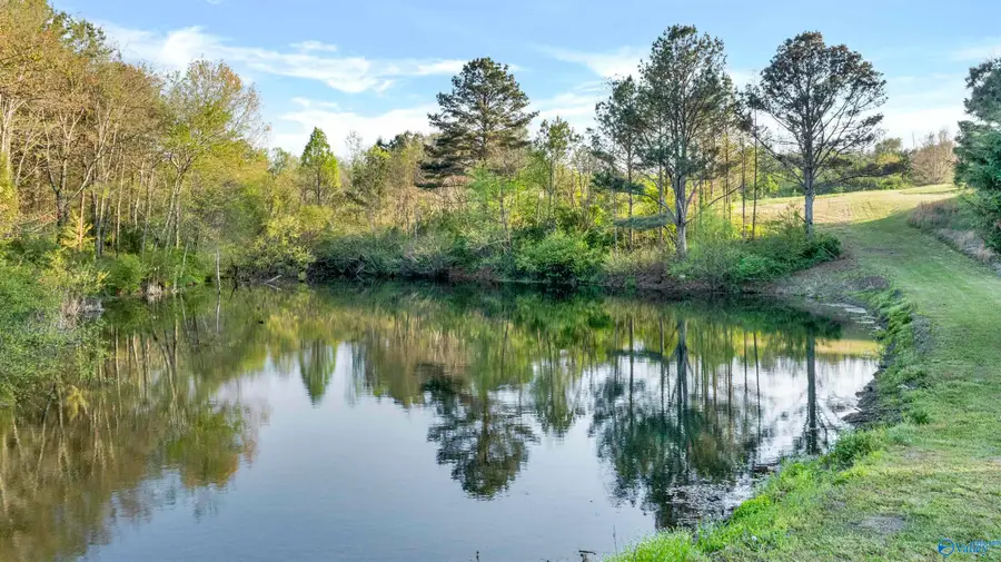 1122 County Road 361, Pisgah, AL 35765 - #2