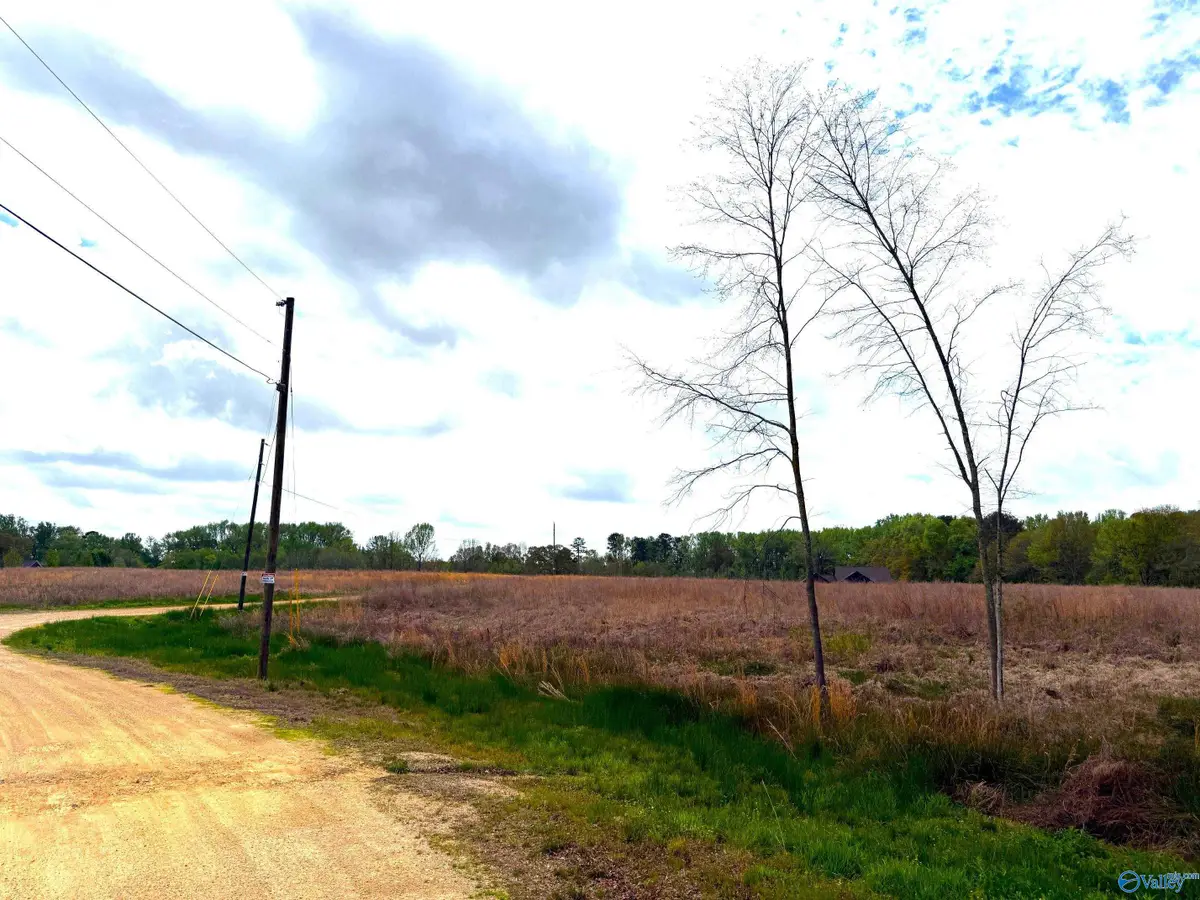 245 Brock Road, Boaz, AL 35957 - #1