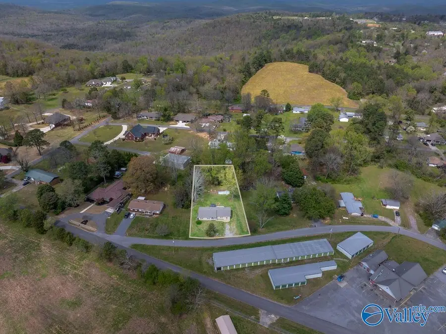 102 11th Street W, Grant, AL 35747 - #3