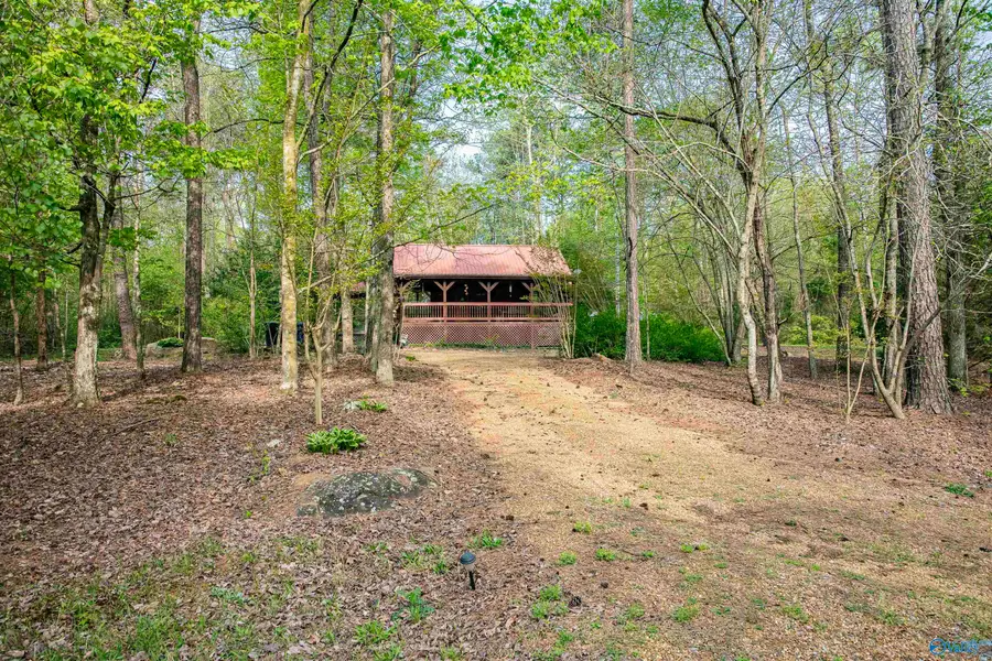272 Road 9078, Fort Payne, AL 35967 - #2