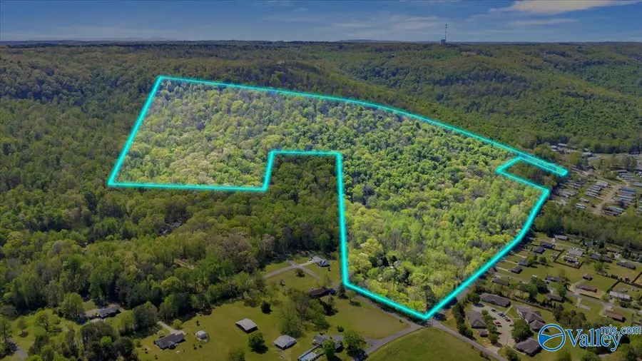 5411A Martin Avenue Ne, Fort Payne, AL 35967 - #2
