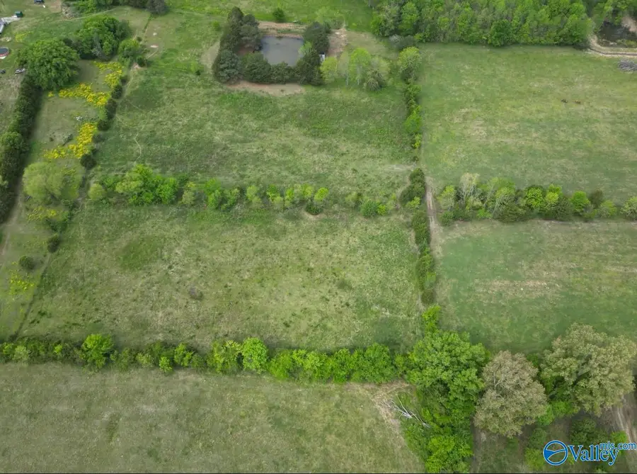 30.7 acres County Road 123, Moulton, AL 35650 - #3