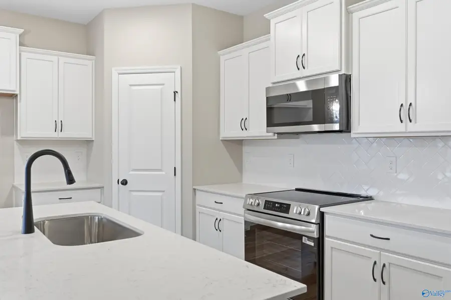 16375 Blue Water Way, Harvest, AL 35749 - #2