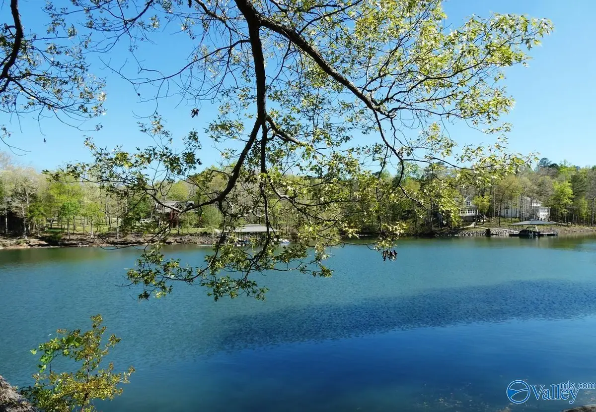 Lot 7 Bullbranch Drive, Double Springs, AL 35553 - #1