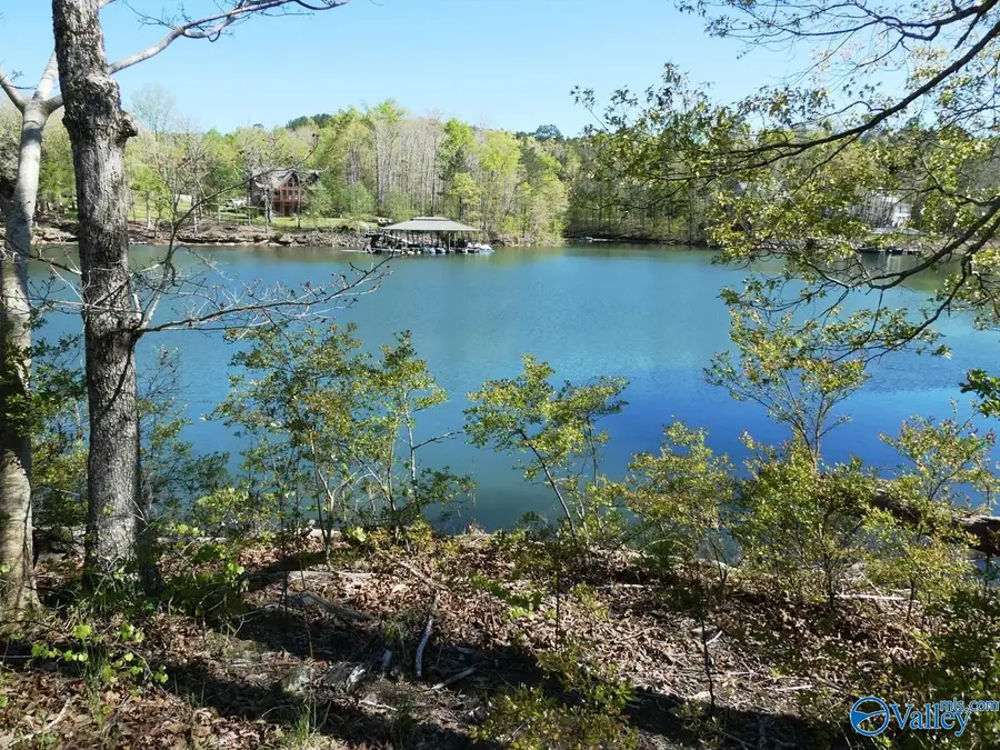 Lot 7 Bullbranch Drive, Double Springs, AL 35553 - #2