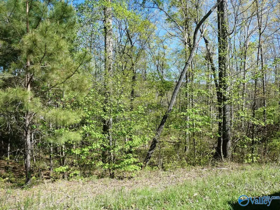 Lot 7 Bullbranch Drive, Double Springs, AL 35553 - #3