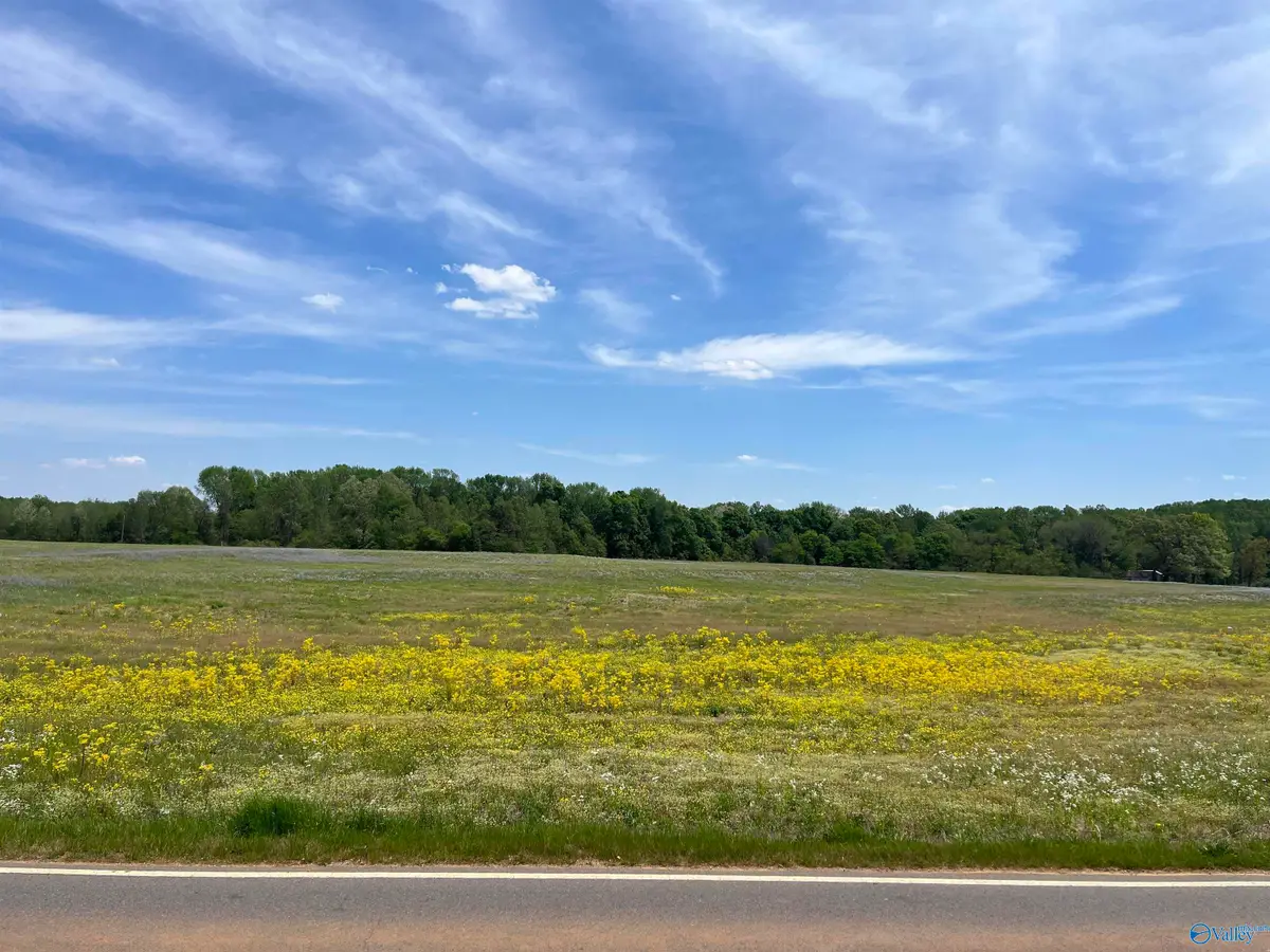 2 and 3 Meadows Road, Athens, AL 35613 - #1