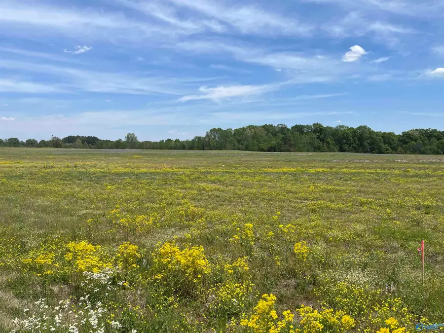 2 and 3 Meadows Road, Athens, AL 35613 - #2