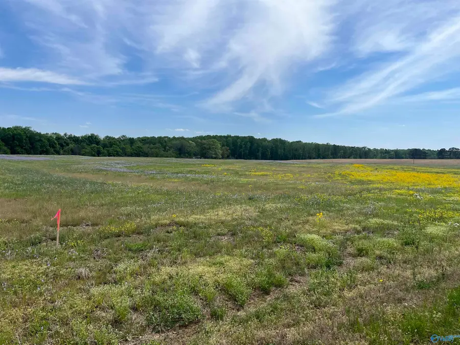 2 and 3 Meadows Road, Athens, AL 35613 - #3