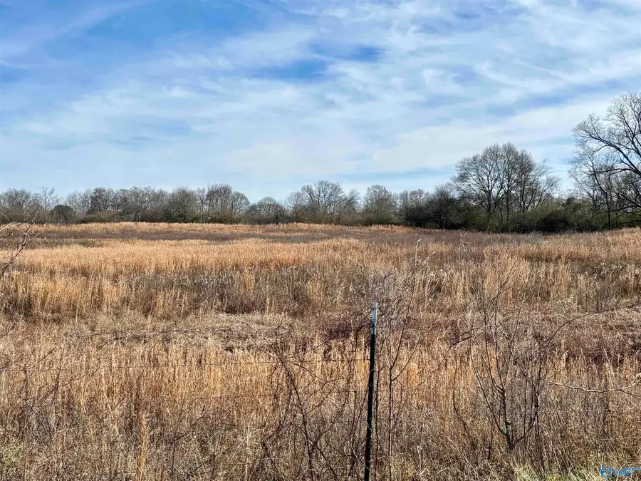 1.5 ac Lot 2 Strange Road #2, Horton, AL 35980 - #3