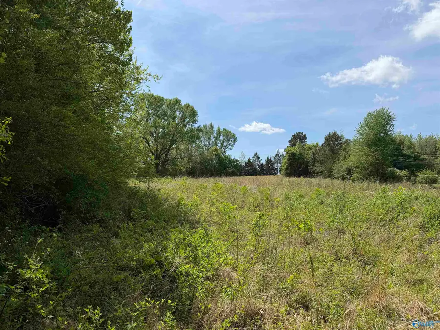 24 County Road 140, Town Creek, AL 35672 - #3