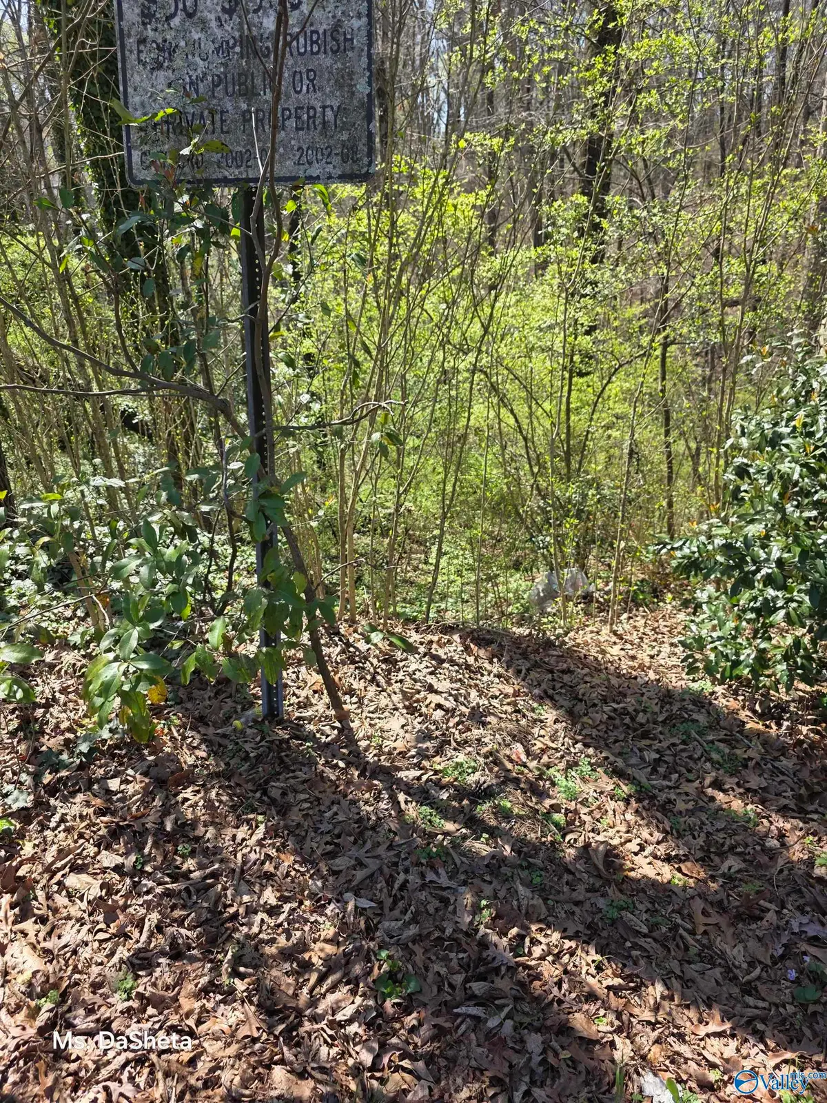 645 16th Terrace Circle, Center Point, AL 35215 - #1