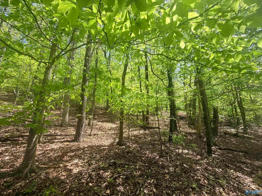 17940 Blue Springs Road, Athens, AL 35611 - #2