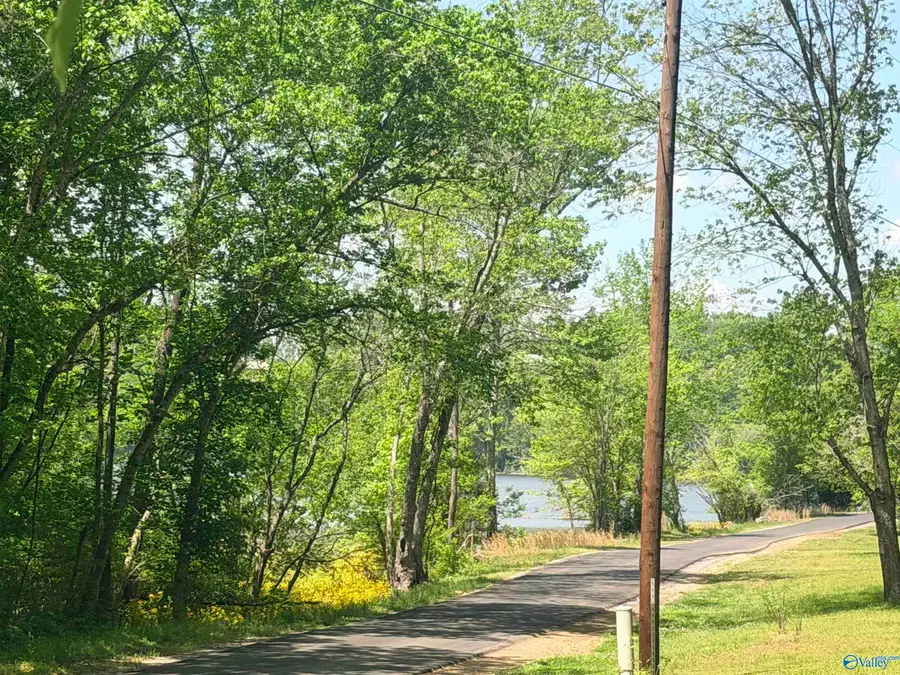 17940 Blue Springs Road, Athens, AL 35611 - #3