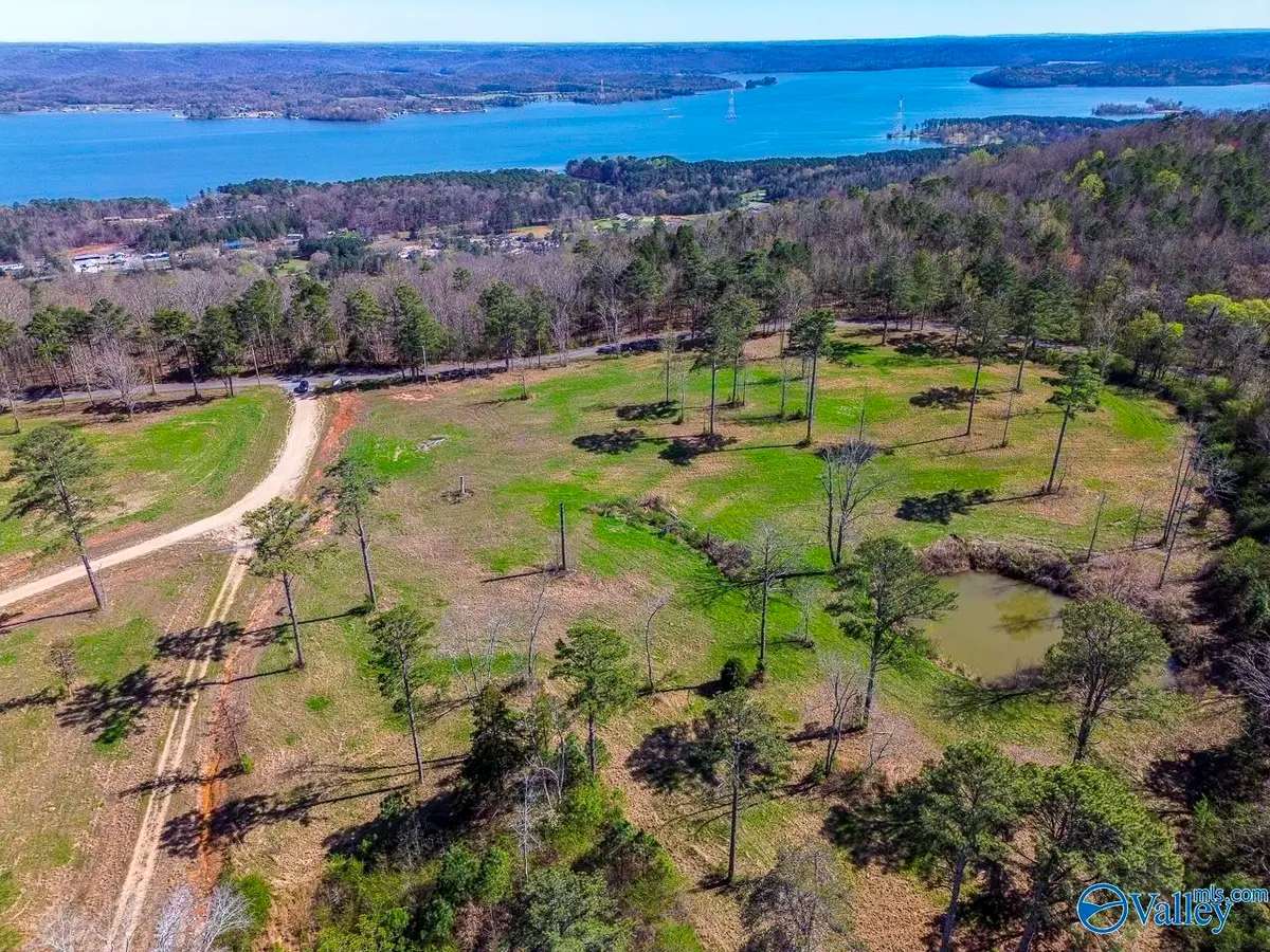 Lot 6 Mccorkle Mountain Road, Scottsboro, AL 35679 - #1