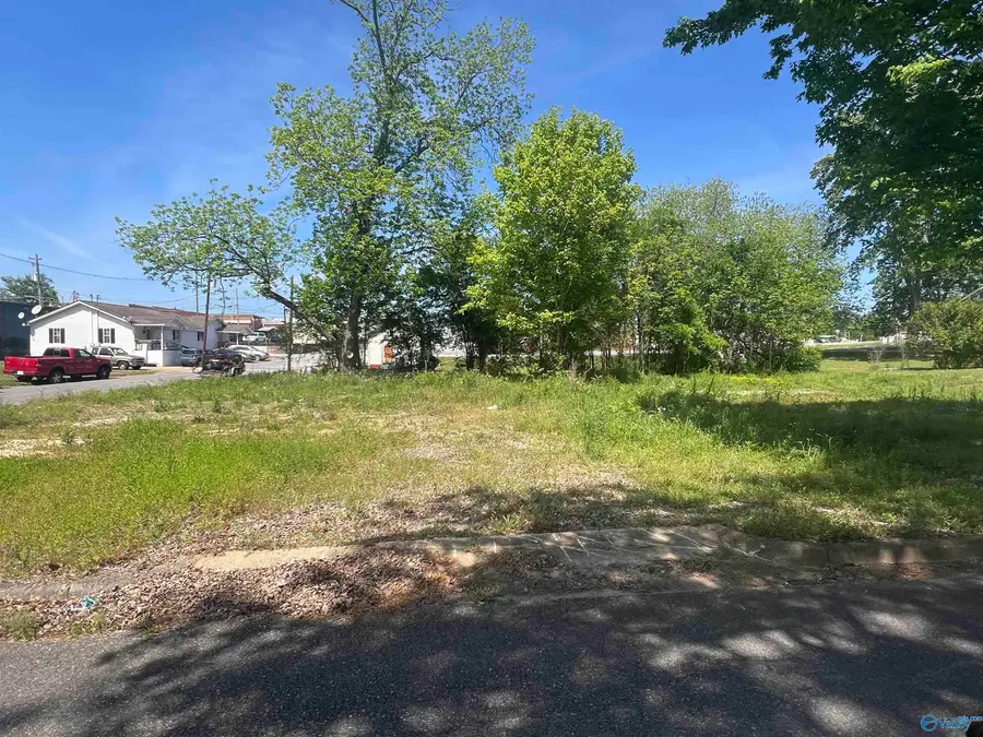 203 2nd Avenue E, Centre, AL 35960 - #3