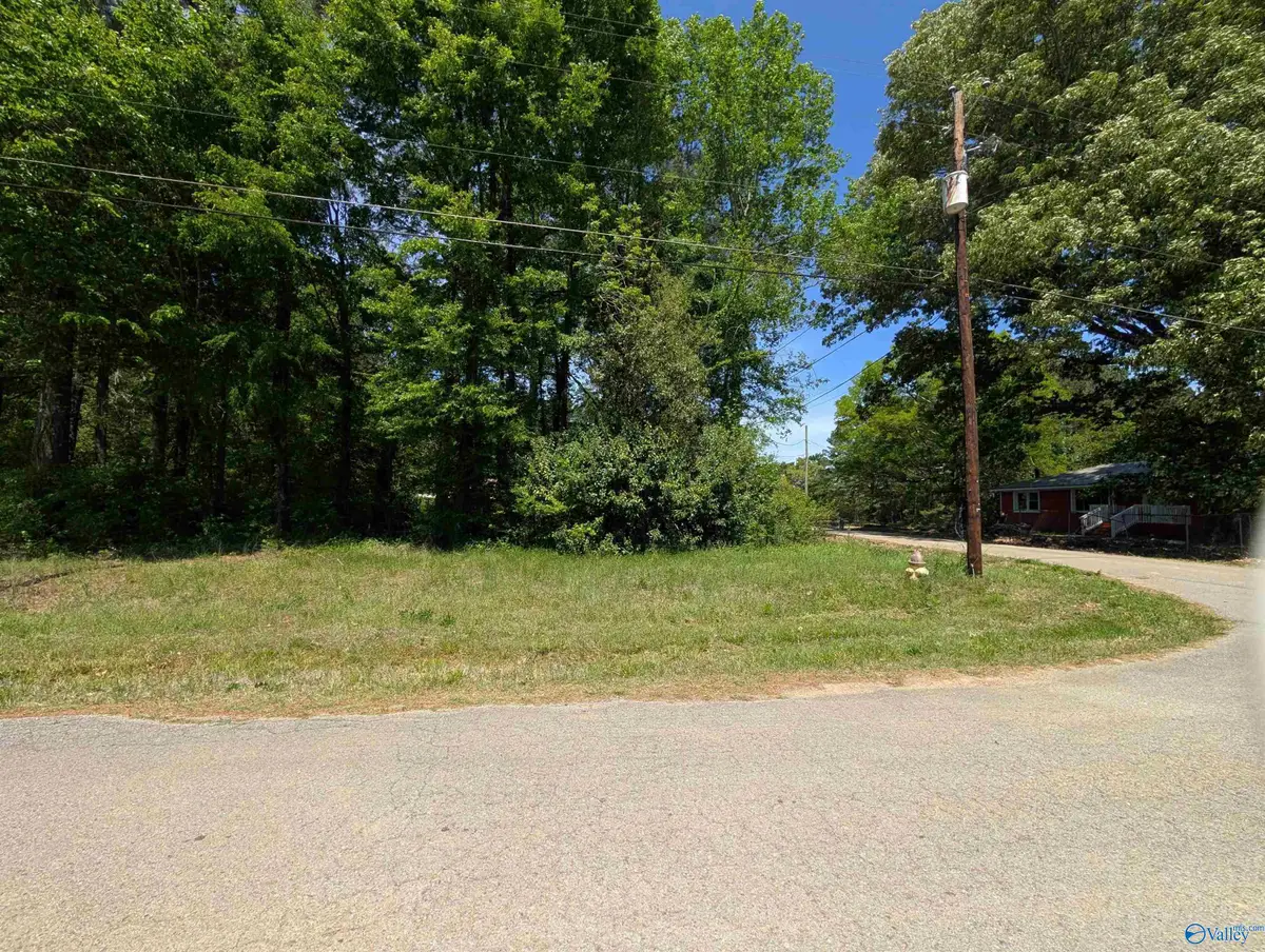21 West Mckinney Street, Gadsden, AL 35904 - #1