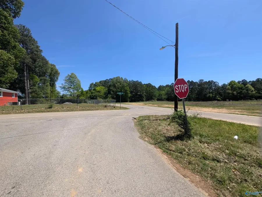 21 West Mckinney Street, Gadsden, AL 35904 - #3