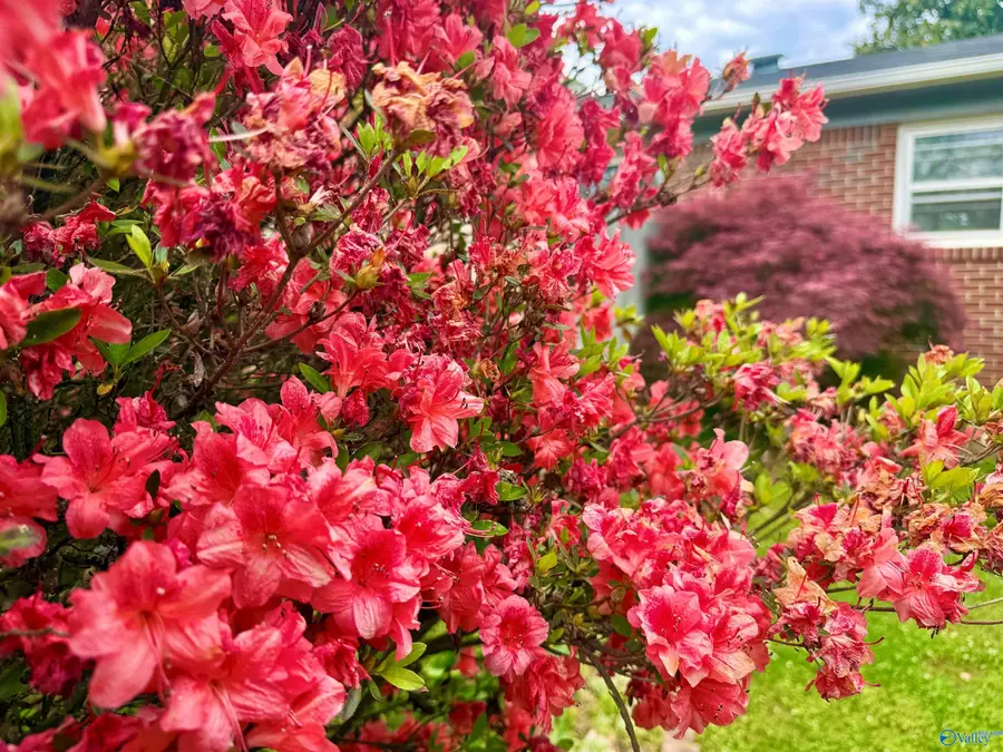 3609 Williams Lane, Decatur, AL 35603 - #2