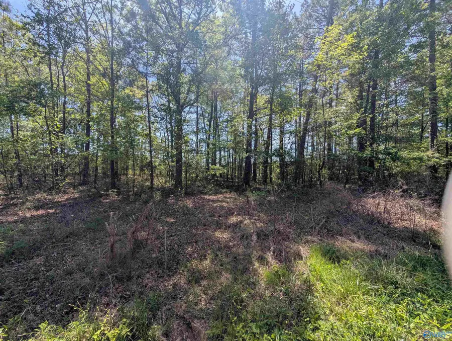 11 Paradise Avenue, Gadsden, AL 35903 - #2