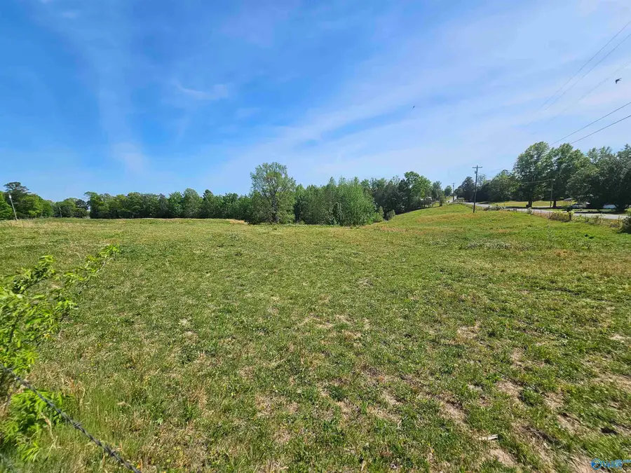 7.7 acres Stackyard Road, Falkville, AL 35622 - #3